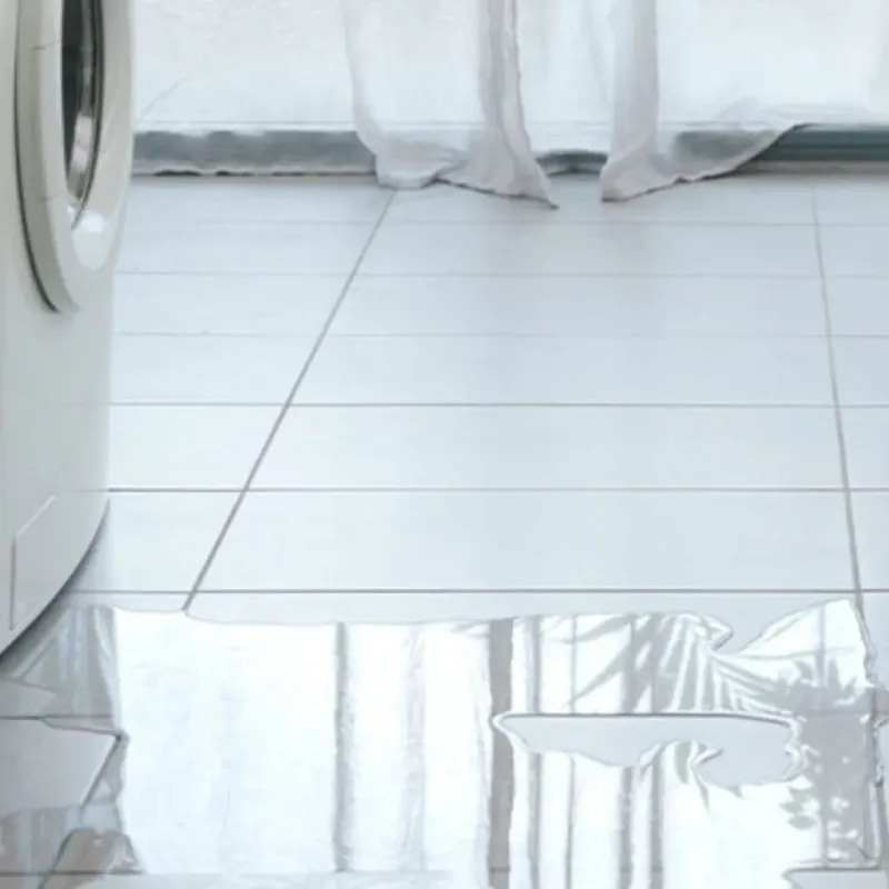 Appliance Leak Cleanup in Antigo, WI