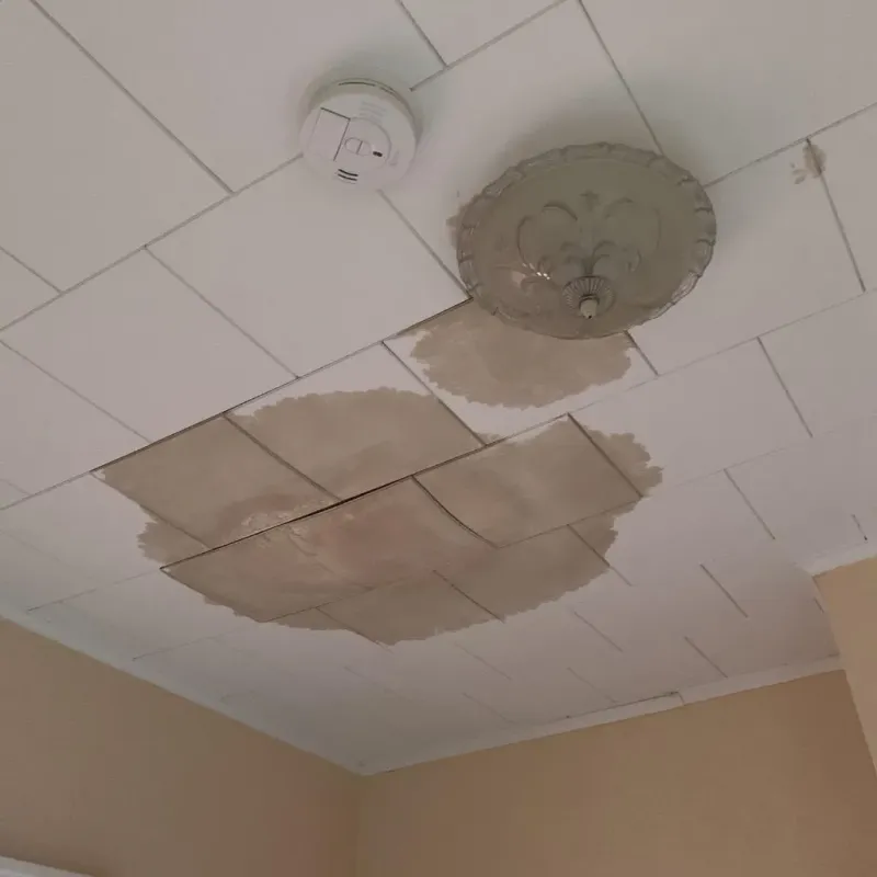 Ceiling Water Damage Repair in Antigo, WI