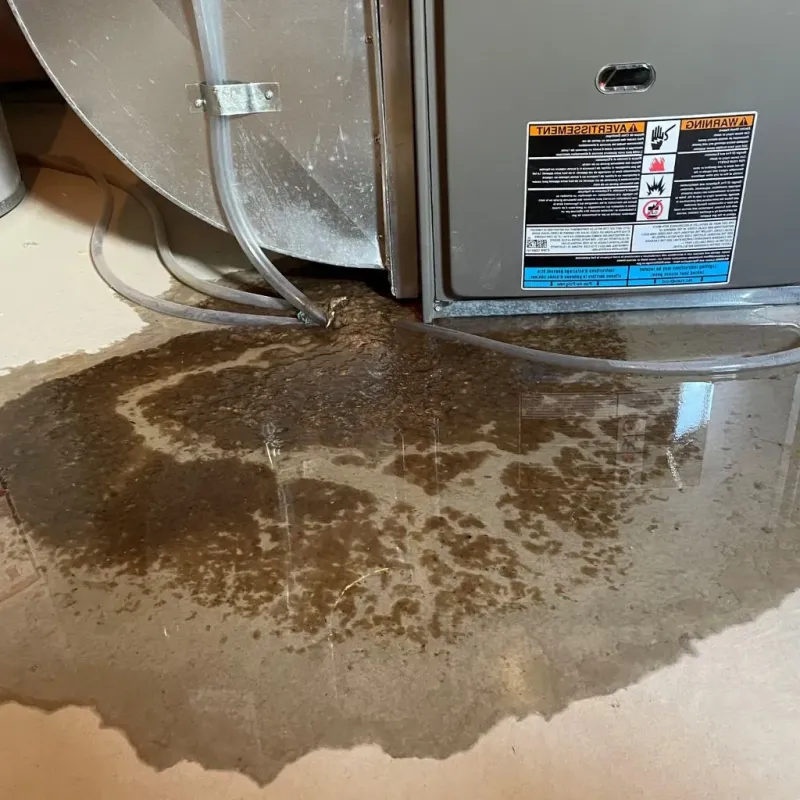 Pipe Burst and Leak Restoration in Antigo, WI